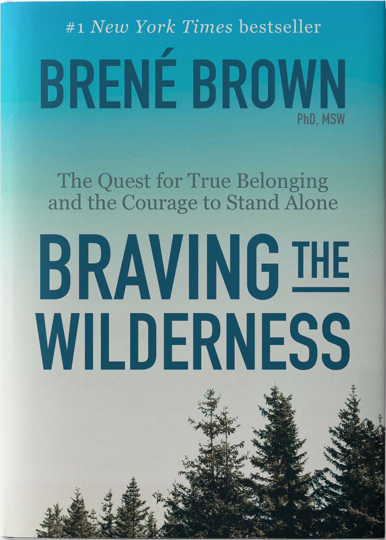 Braving the Wilderness by Brene Brown